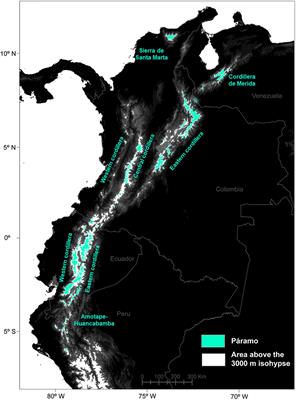 What Does the Future Hold for Páramo Plants? A Modelling Approach